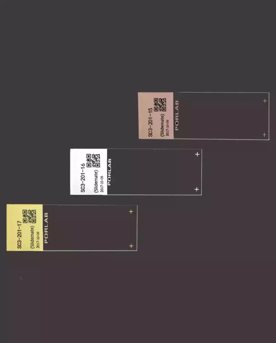 ColorCode AdStar Mikroskop Lamları