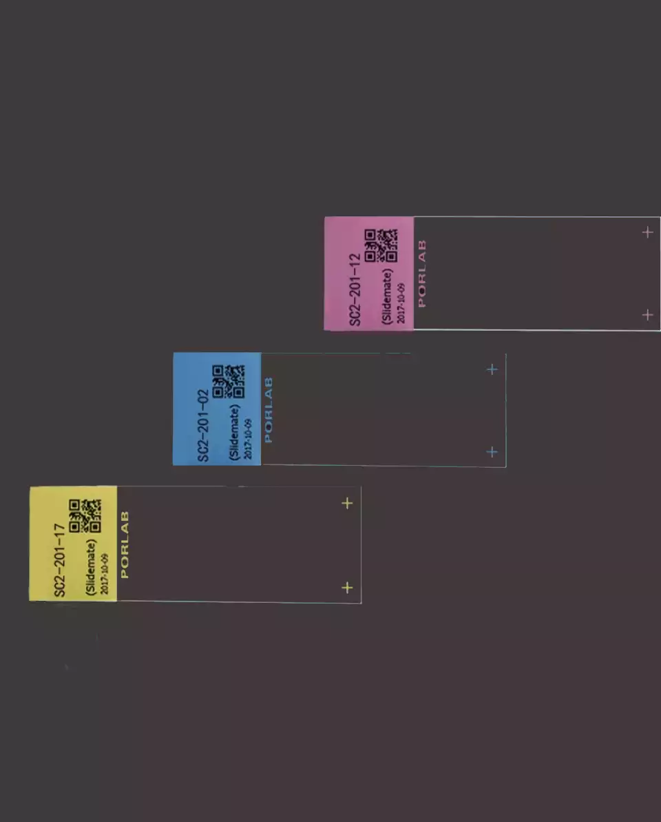 ColorCode Plus Mikroskop Lamları