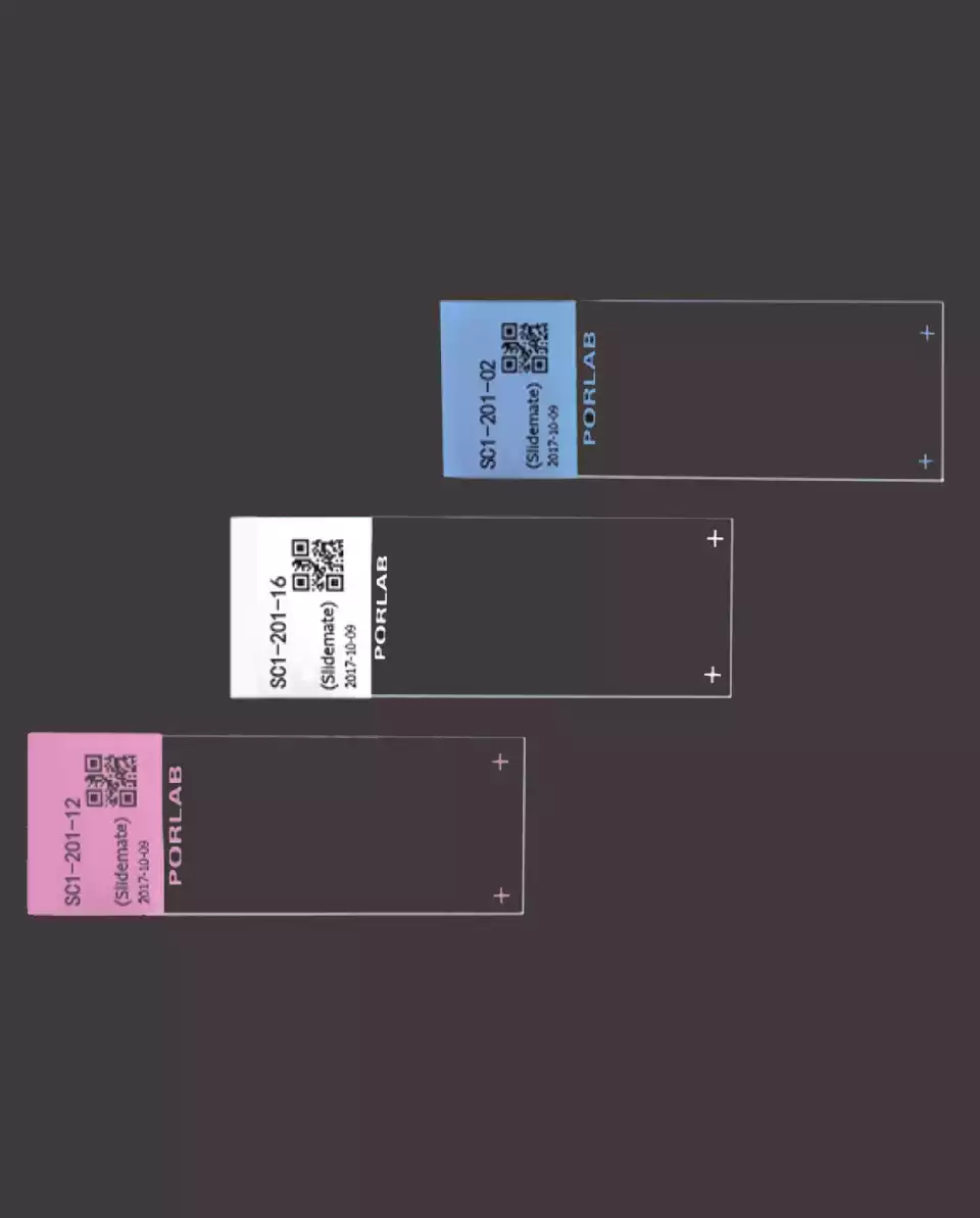 ColorCode Poly-Ly-Sine Mikroskop Lamları